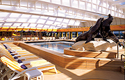 Holland America Cruises
