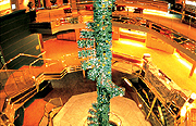 Holland America Cruises