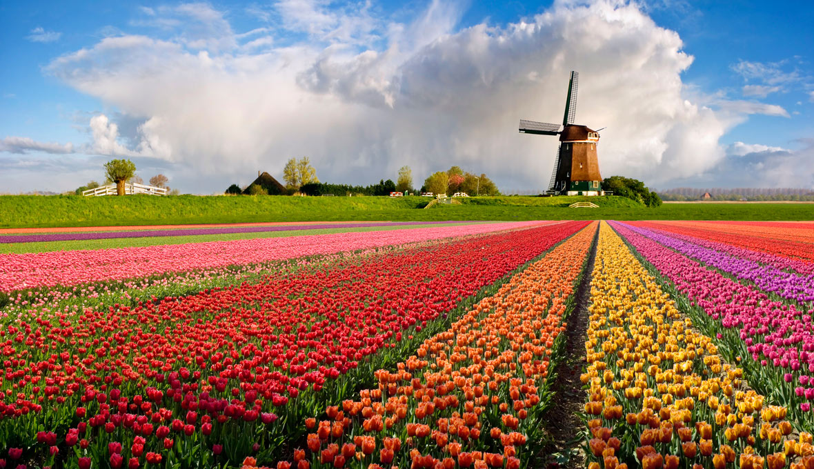 Netherlands Vacations | Cheap Vacations to Netherlands | Flight & Hotel ...